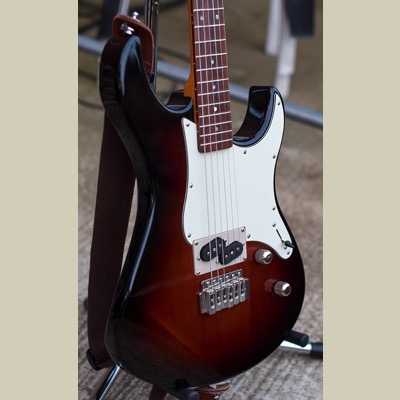 split coil P90 type pickups